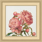 Peony Memories