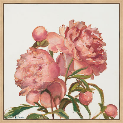 Peony Memories