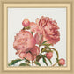 Peony Memories
