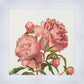 Peony Memories