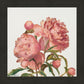 Peony Memories