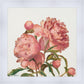 Peony Memories