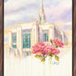 Eternal Promise Ogden Temple