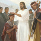 The Disciples Whom He Had Chosen