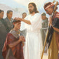The Disciples Whom He Had Chosen