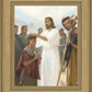 The Disciples Whom He Had Chosen