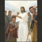 The Disciples Whom He Had Chosen