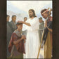 The Disciples Whom He Had Chosen