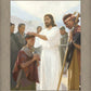 The Disciples Whom He Had Chosen