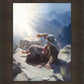 Because of Thy Faith Thou Hast Seen