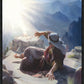 Because of Thy Faith Thou Hast Seen