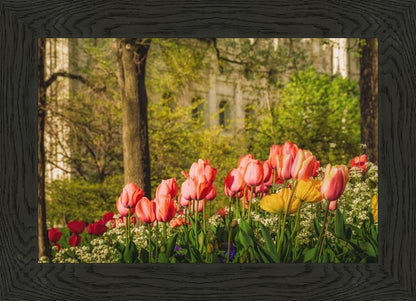 Salt Lake in the Garden