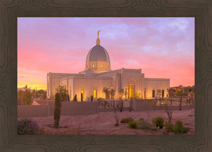 Tucson Desert Sunset