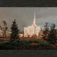 Ogden Pine a Firm Foundation