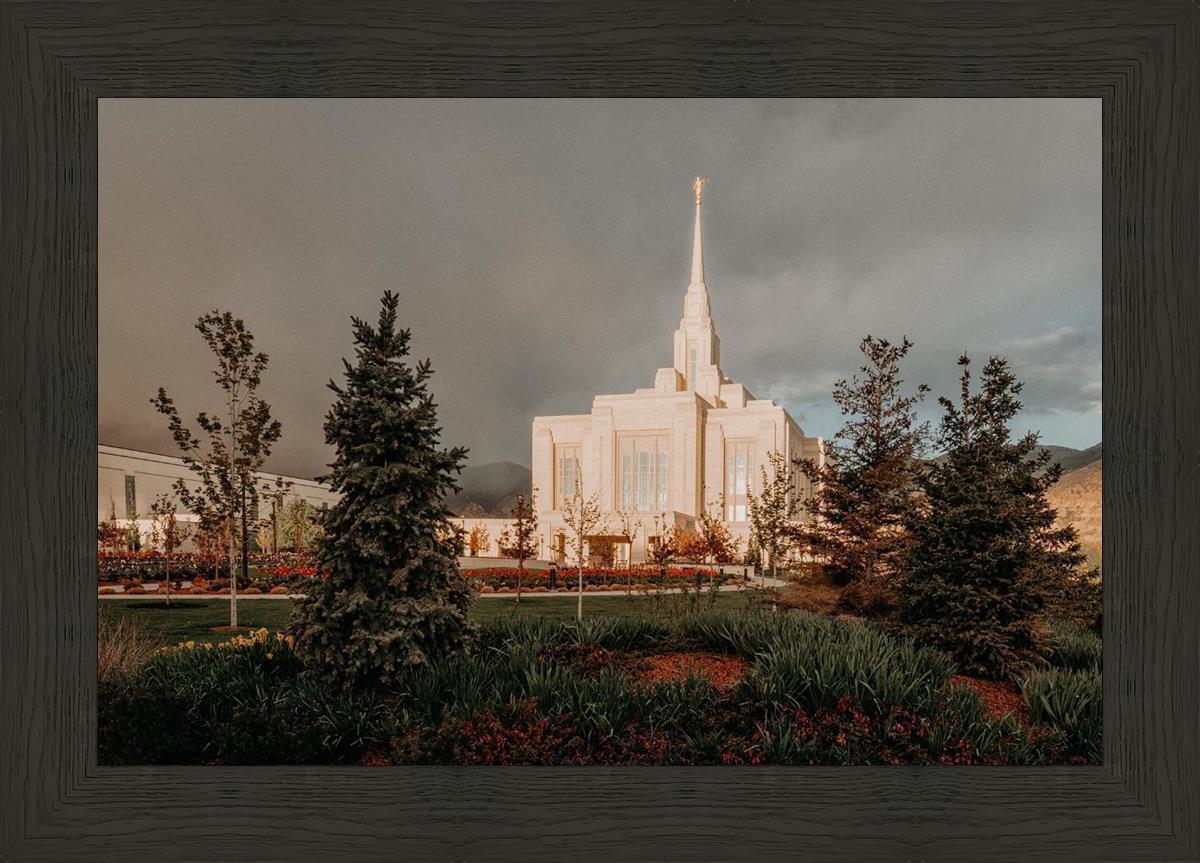 Ogden Pine a Firm Foundation