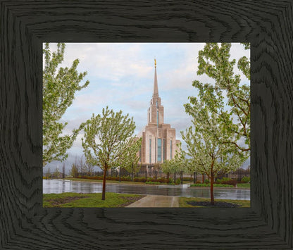 Oquirrh Mountain Rainfall