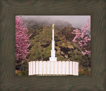 Provo Oncoming Storm