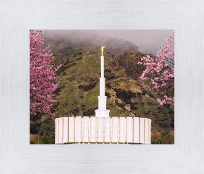 Provo Oncoming Storm