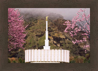 Provo Oncoming Storm