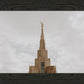 Phoenix Spire a Firm Foundation