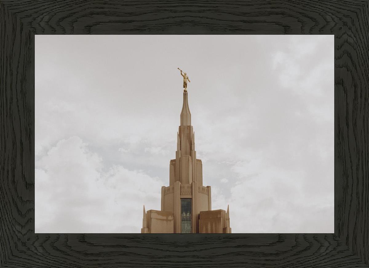 Phoenix Spire a Firm Foundation