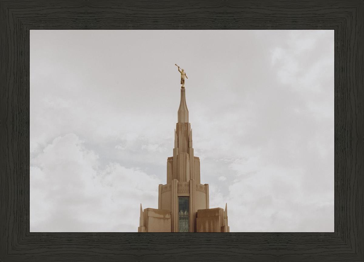 Phoenix Spire a Firm Foundation