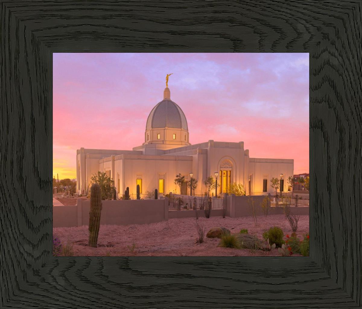 Tucson Desert Sunset