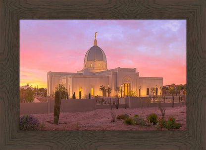 Tucson Desert Sunset