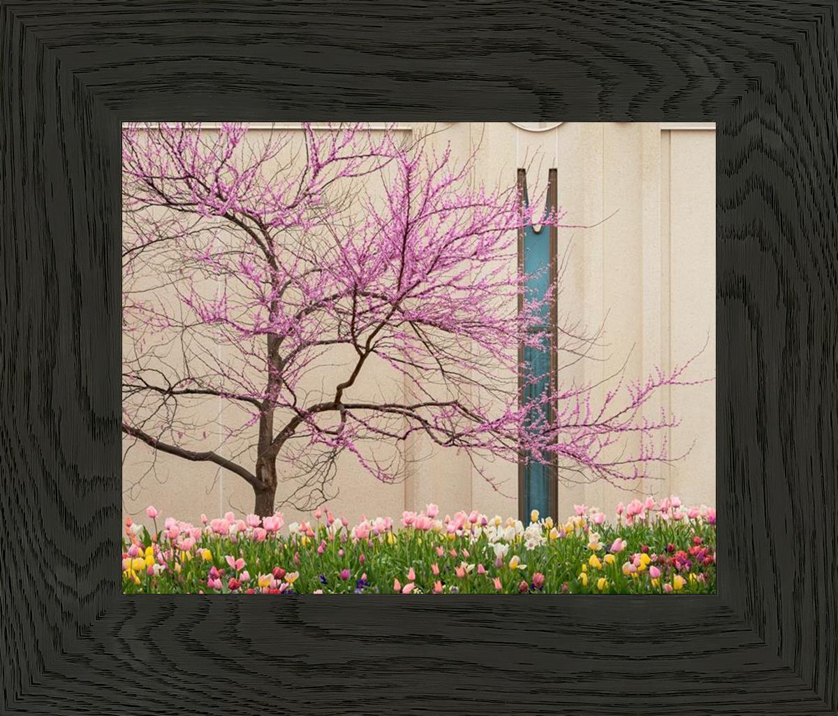 Jordan River Awakening