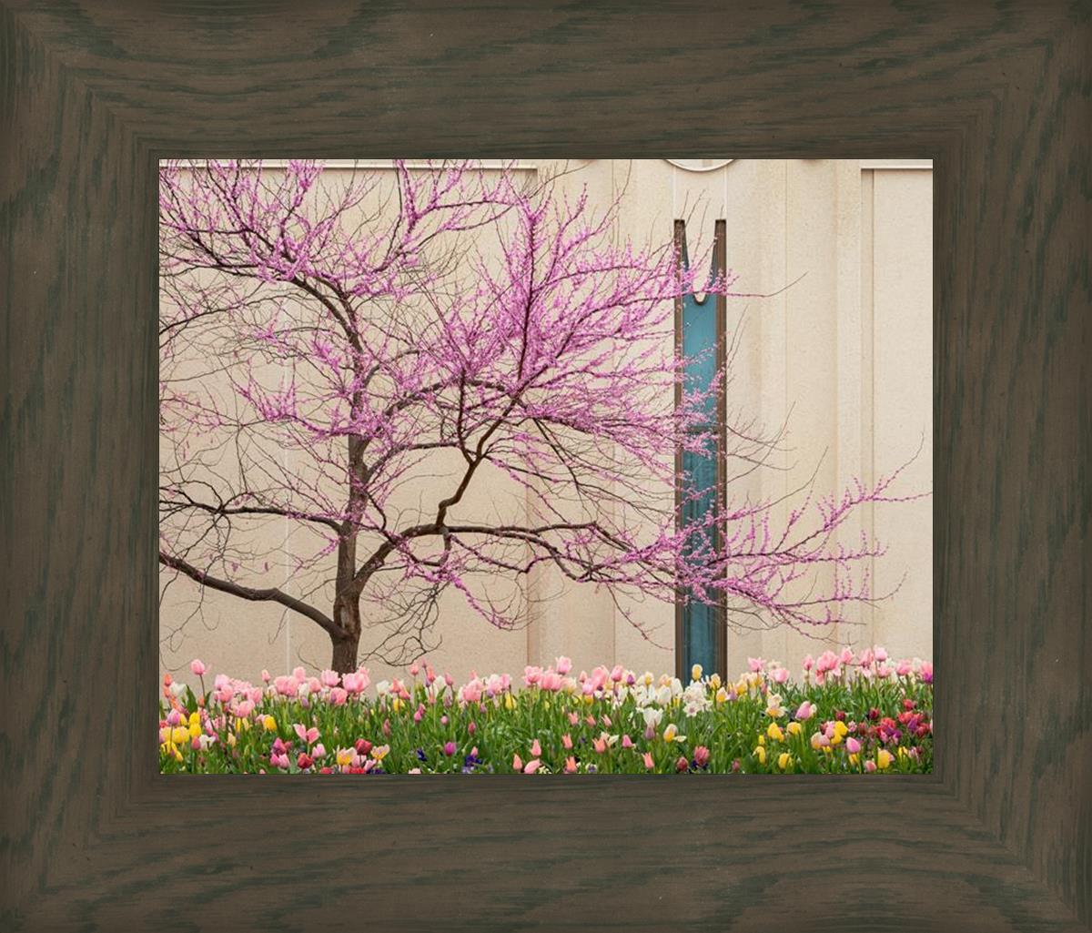 Jordan River Awakening