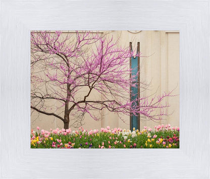 Jordan River Awakening