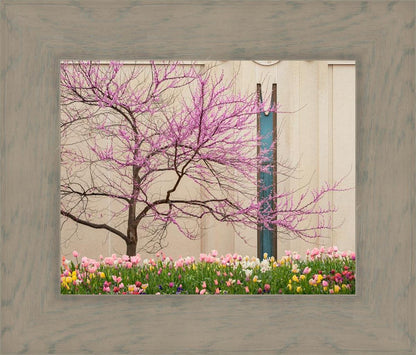 Jordan River Awakening