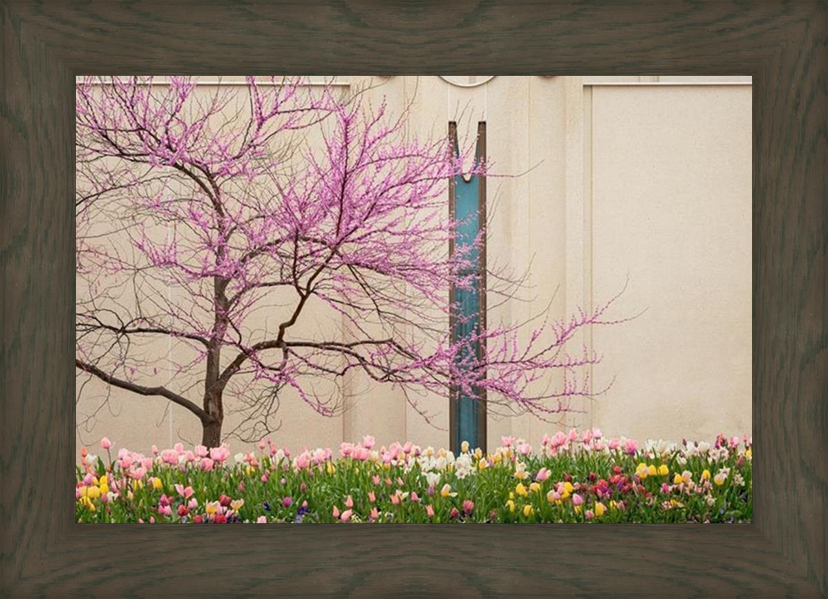 Jordan River Awakening