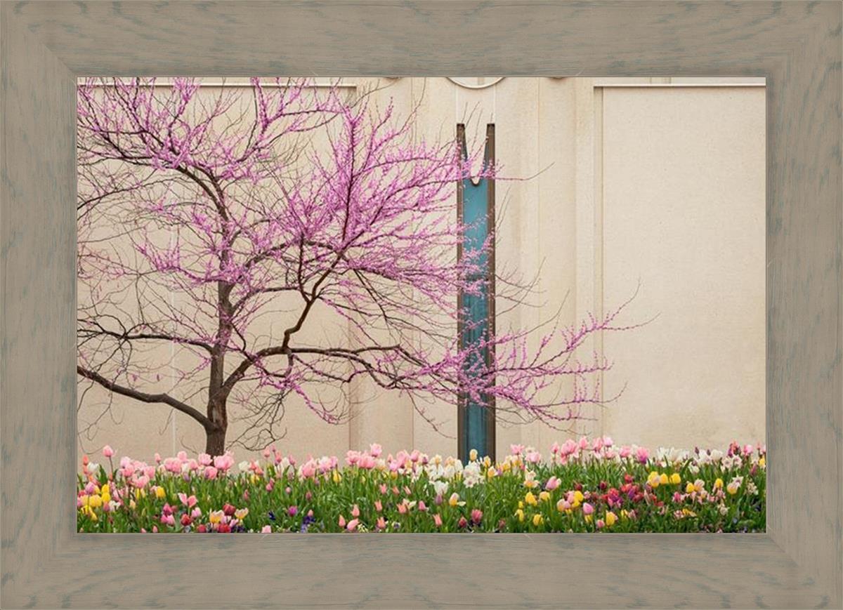 Jordan River Awakening