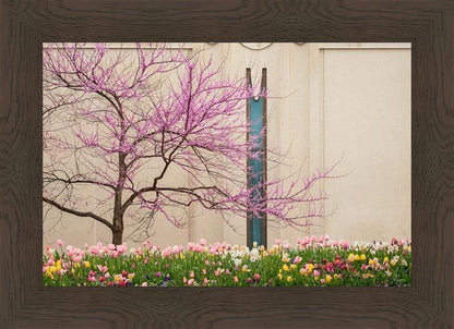 Jordan River Awakening