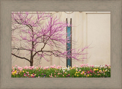 Jordan River Awakening