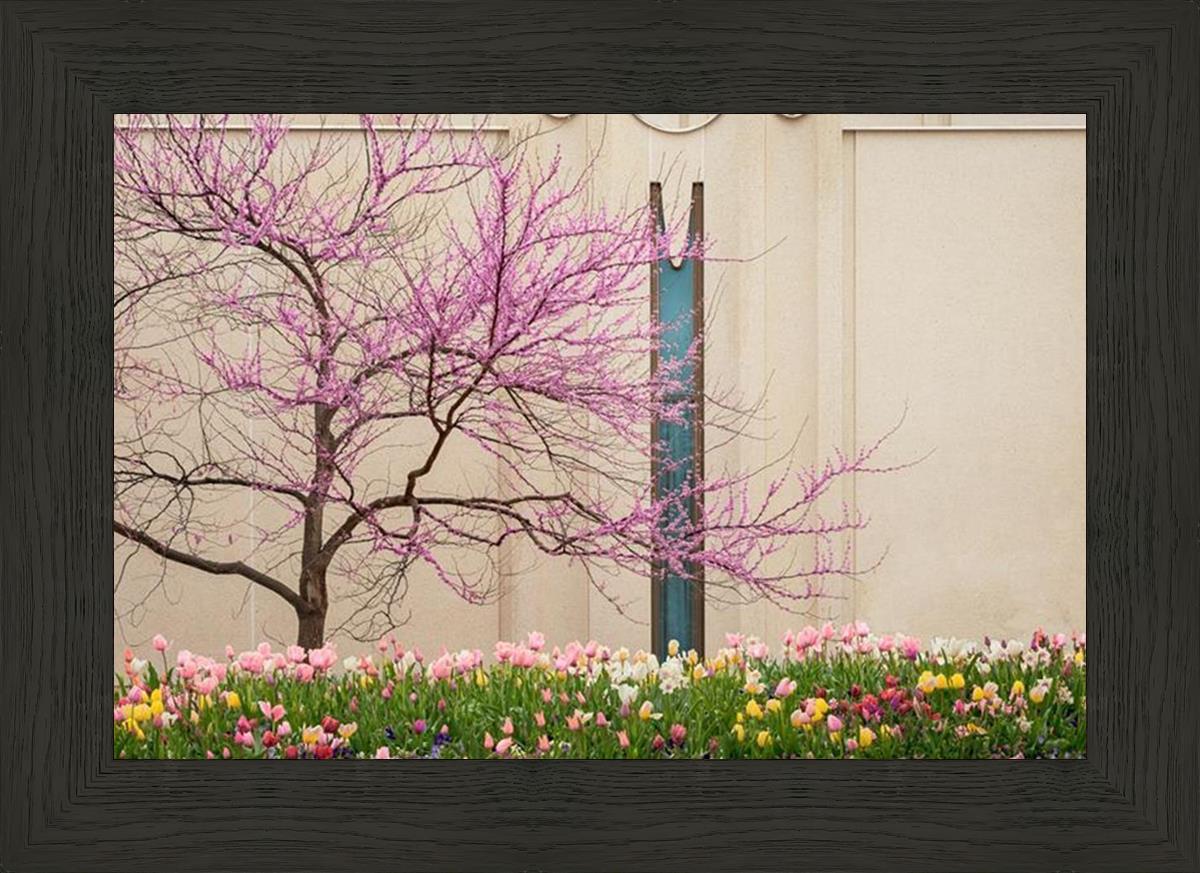 Jordan River Awakening