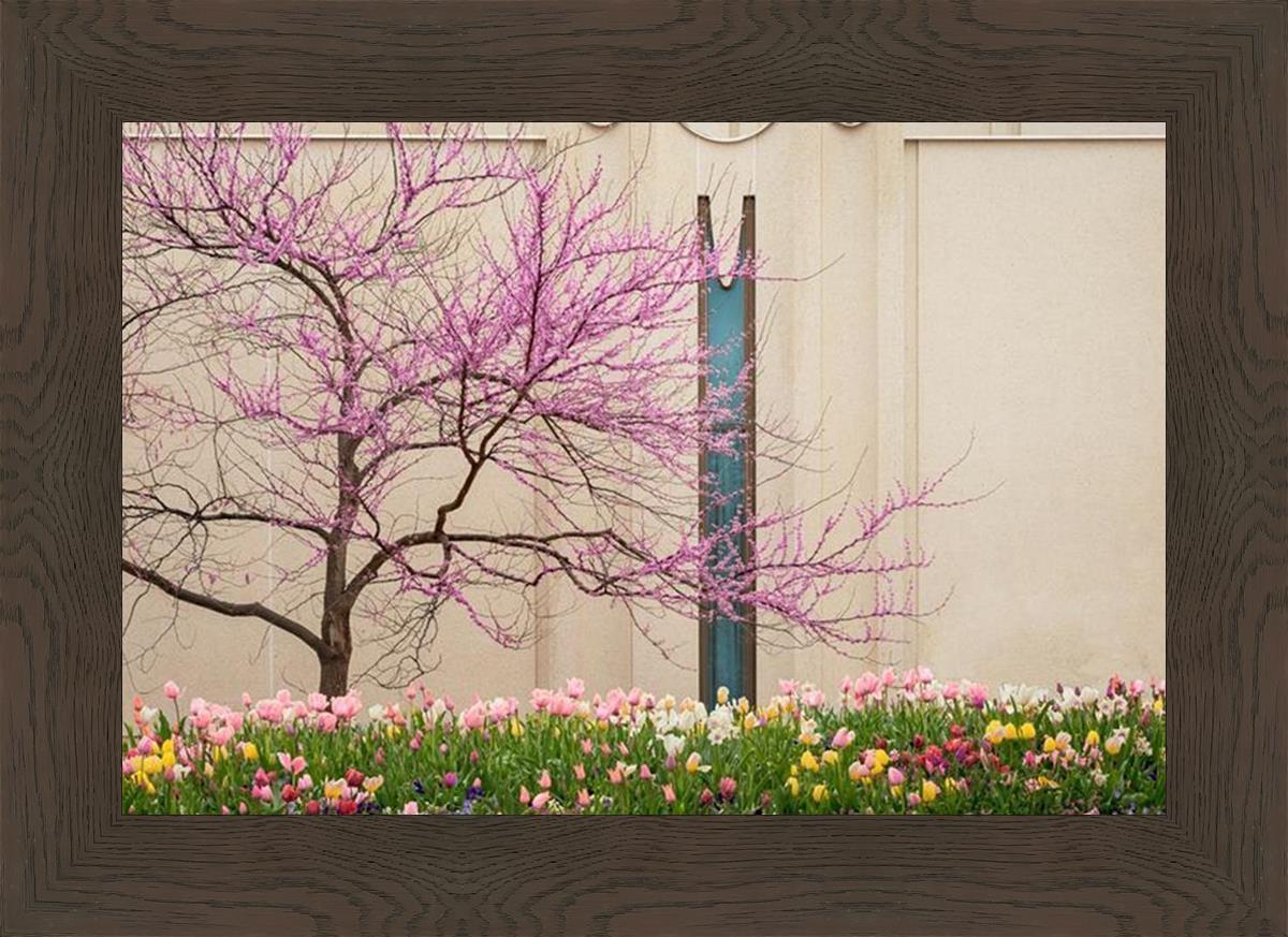 Jordan River Awakening