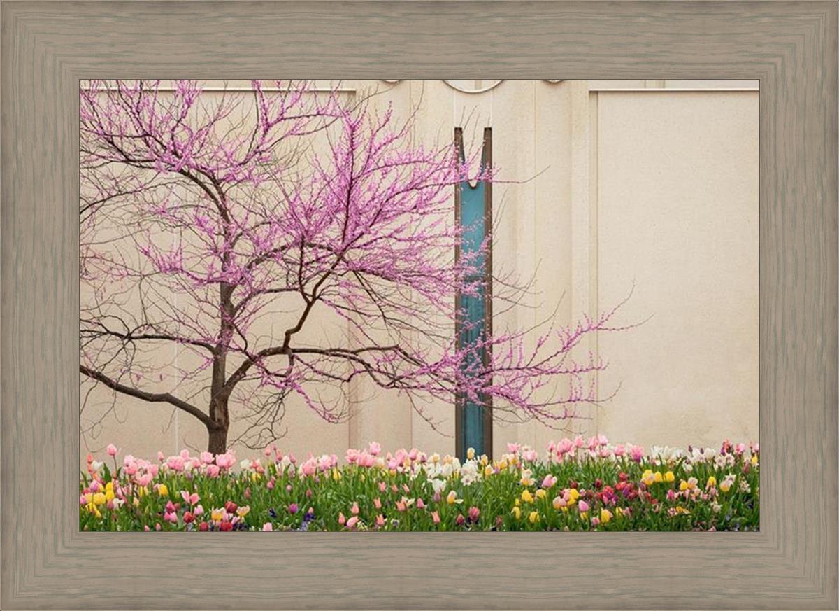 Jordan River Awakening