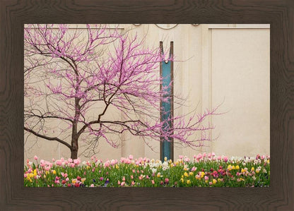 Jordan River Awakening