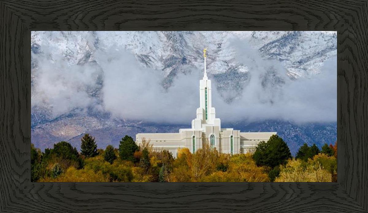 Mt. Timpanogos Hillside