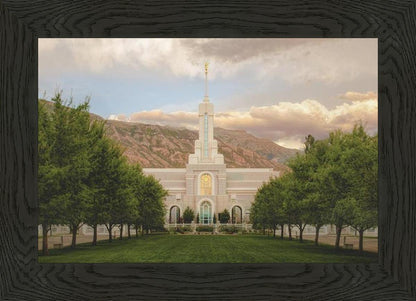 Mt. Timpanogos Temple 12