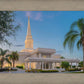 Orlando 02