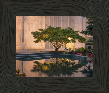 Portland Peaceful Gardens