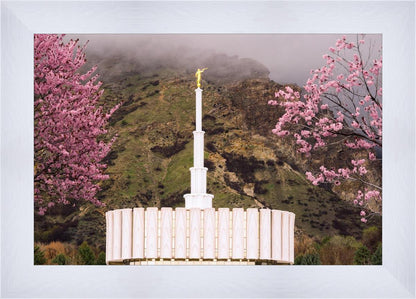 Provo Oncoming Storm