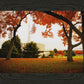 Provo Sanctuary