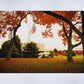 Provo Sanctuary