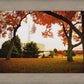 Provo Sanctuary