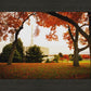 Provo Sanctuary