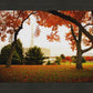 Provo Sanctuary
